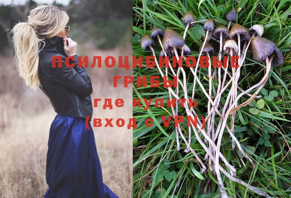 винт Алексеевка
