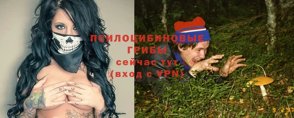 винт Алексеевка