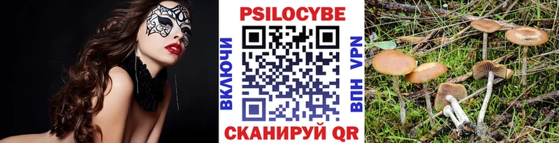 Псилоцибиновые грибы Psilocybe  MEGA сайт  Асино 