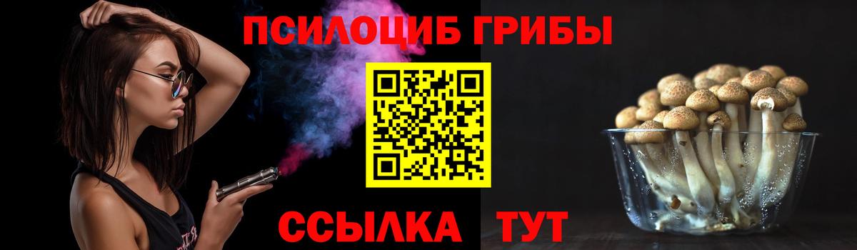 Галлюциногенные грибы GOLDEN TEACHER  Галлюциногенные грибы Psilocybine cubensis  Вход с VPN  Асино 